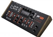 Dave Smith Prophet 12