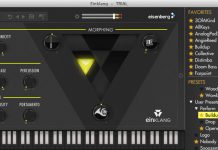 Review: Eisenberg Einklang Extended