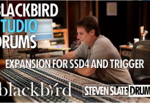 Steven Slate Blackbird Studio Drums