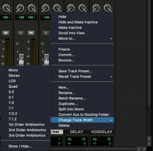 Pro Tools 2021.6 Track Width